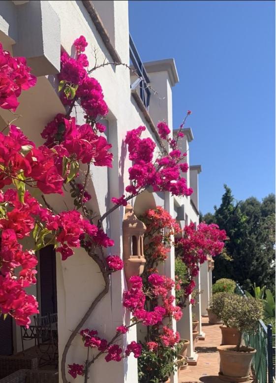 Boutique Hotel Maravilla - Marbella Benahavís Eksteriør billede