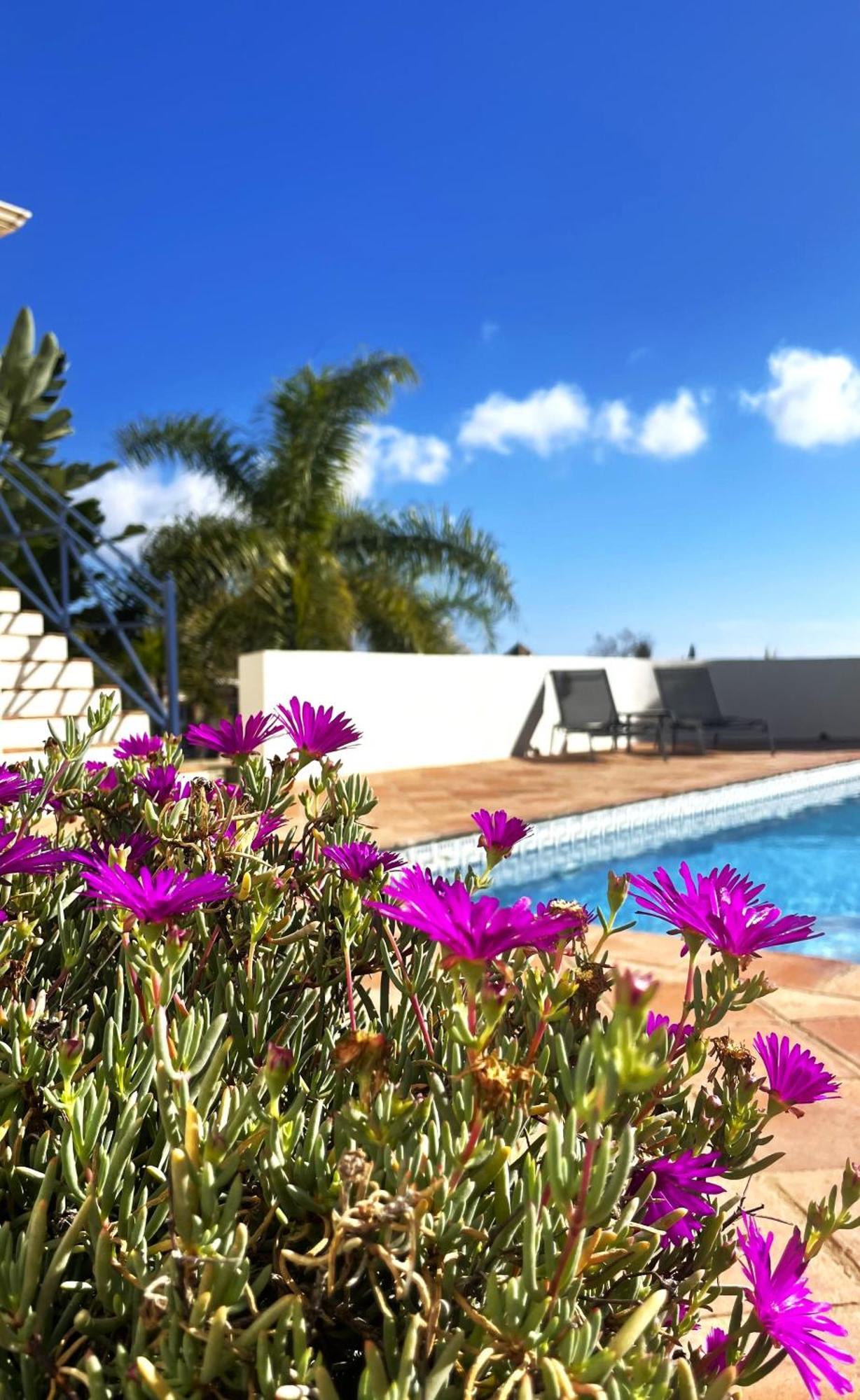Boutique Hotel Maravilla - Marbella Benahavís Eksteriør billede