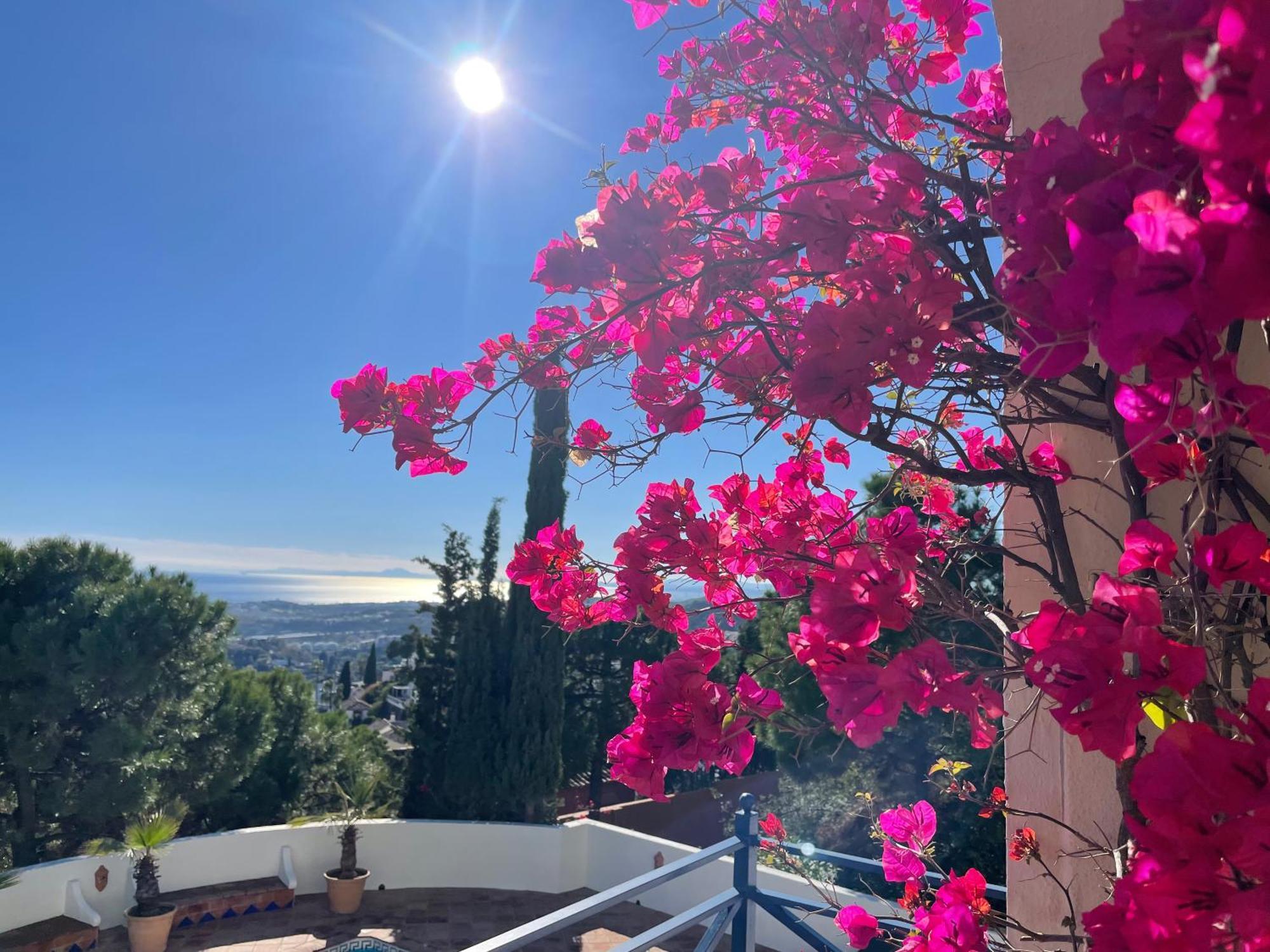 Boutique Hotel Maravilla - Marbella Benahavís Eksteriør billede