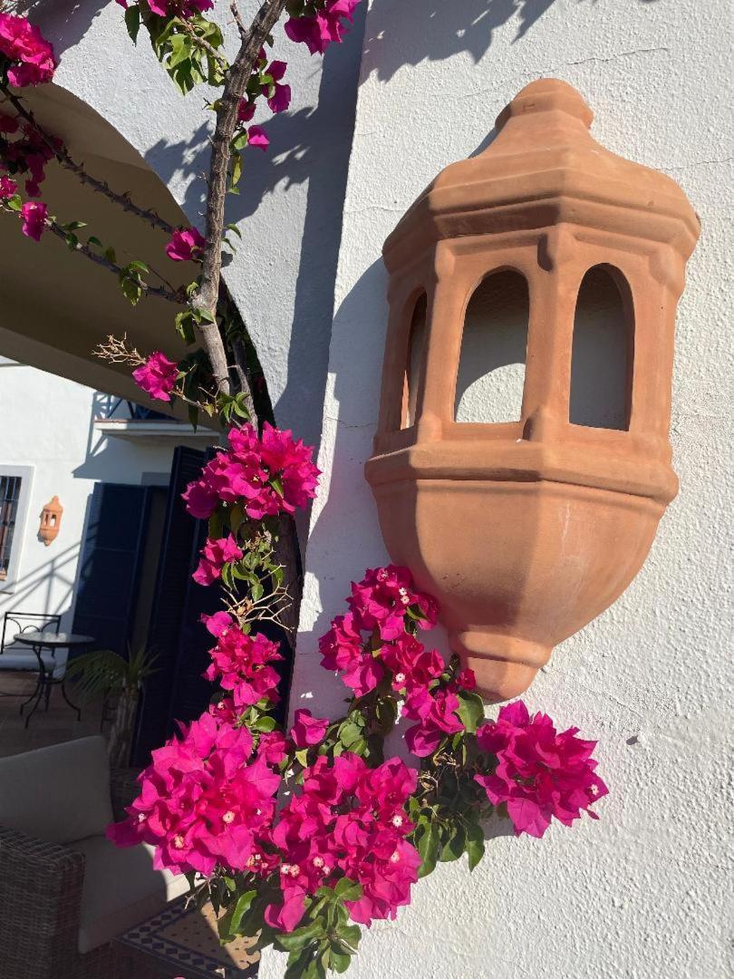 Boutique Hotel Maravilla - Marbella Benahavís Eksteriør billede