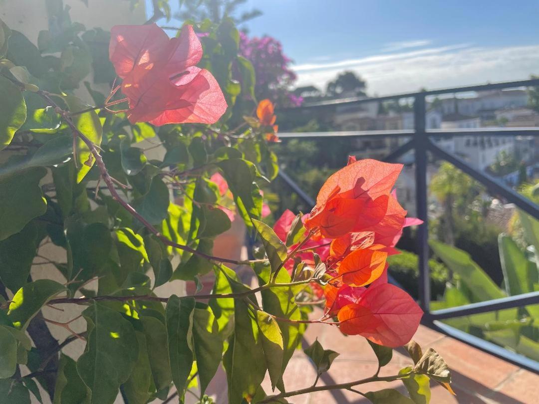 Boutique Hotel Maravilla - Marbella Benahavís Eksteriør billede