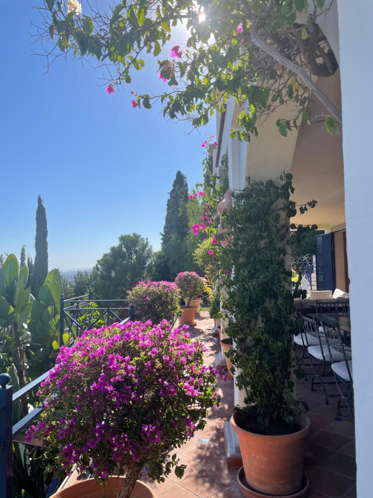 Boutique Hotel Maravilla - Marbella Benahavís Eksteriør billede