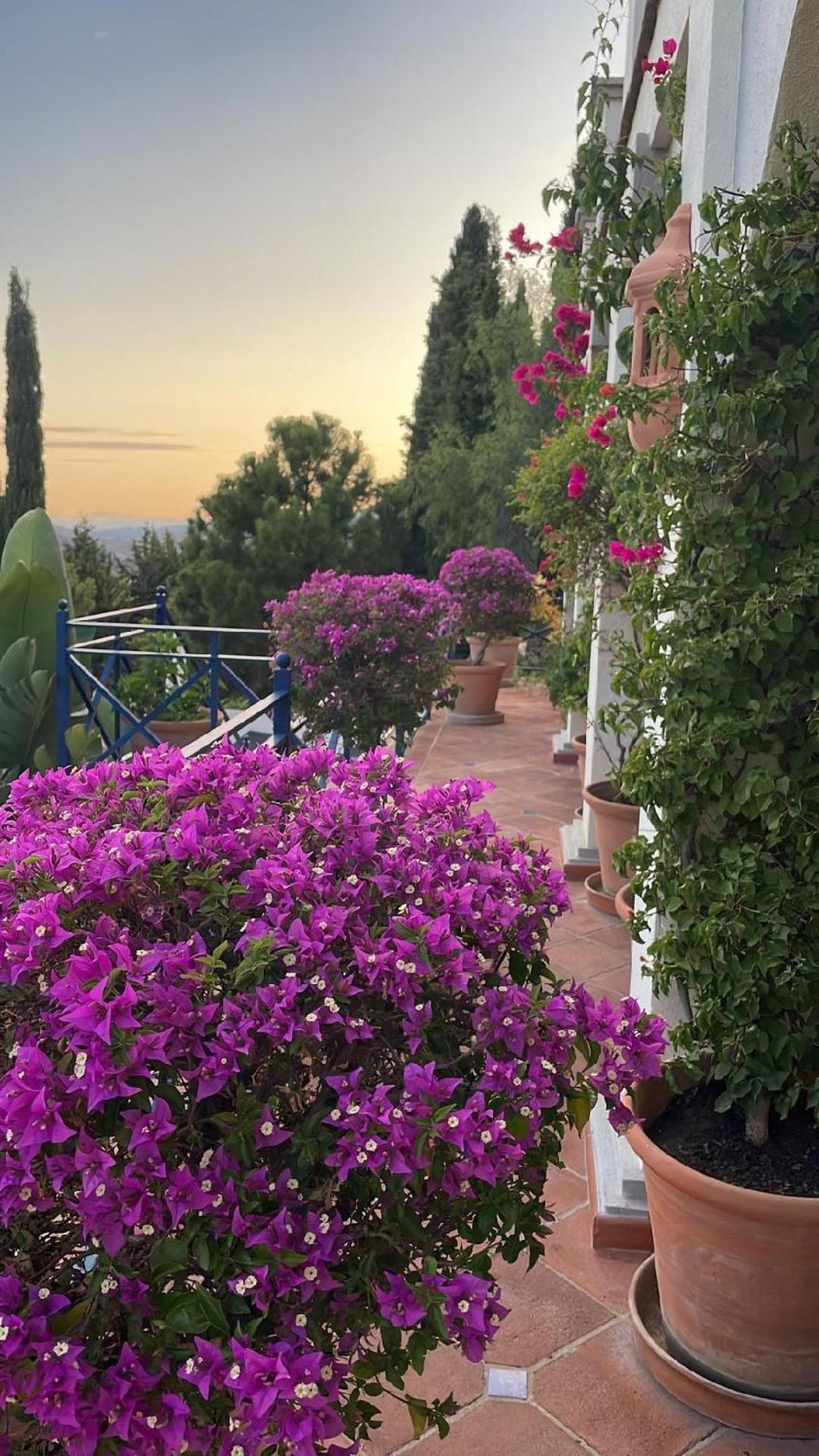 Boutique Hotel Maravilla - Marbella Benahavís Eksteriør billede